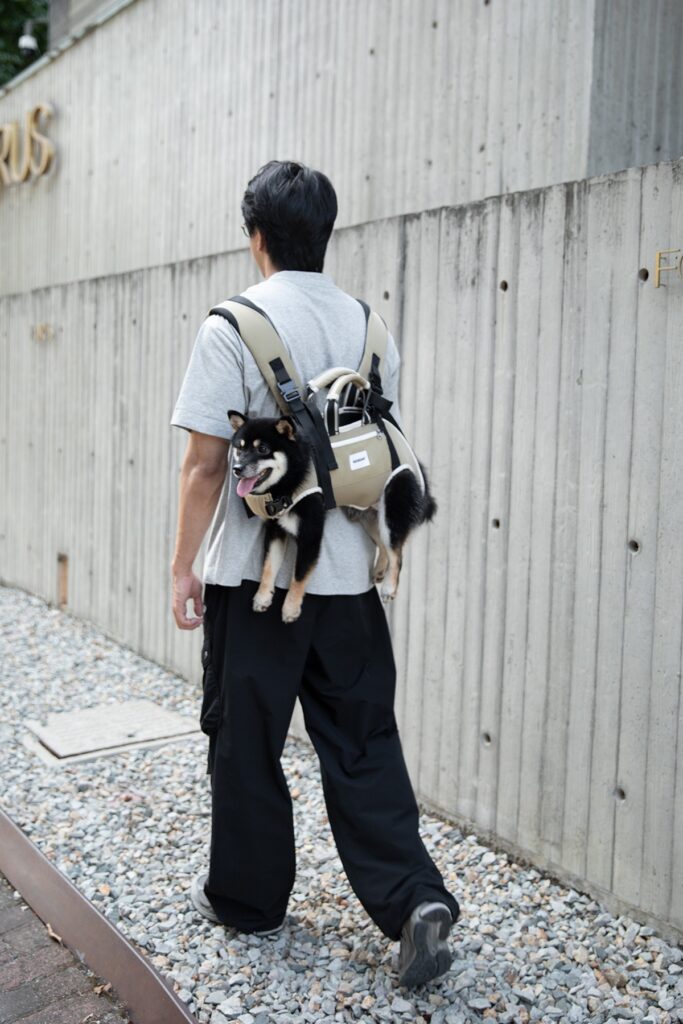 Why Every Pet Parent Should Consider a Carrier Backpack